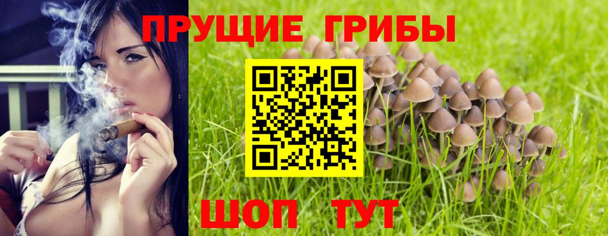 Старая Купавна  Галлюциногенные грибы MAGIC MUSHROOMS  Вход с VPN 
